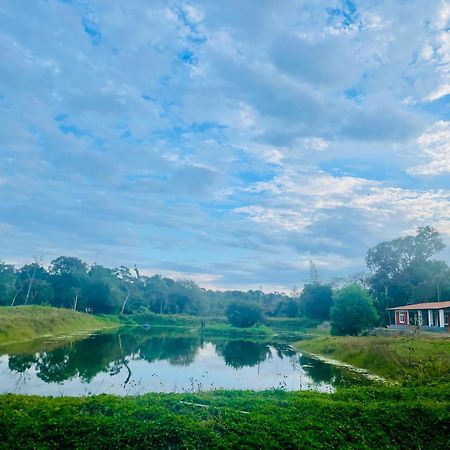 Lake Ripples - Farmstay & Camping Ponnampet Kültér fotó