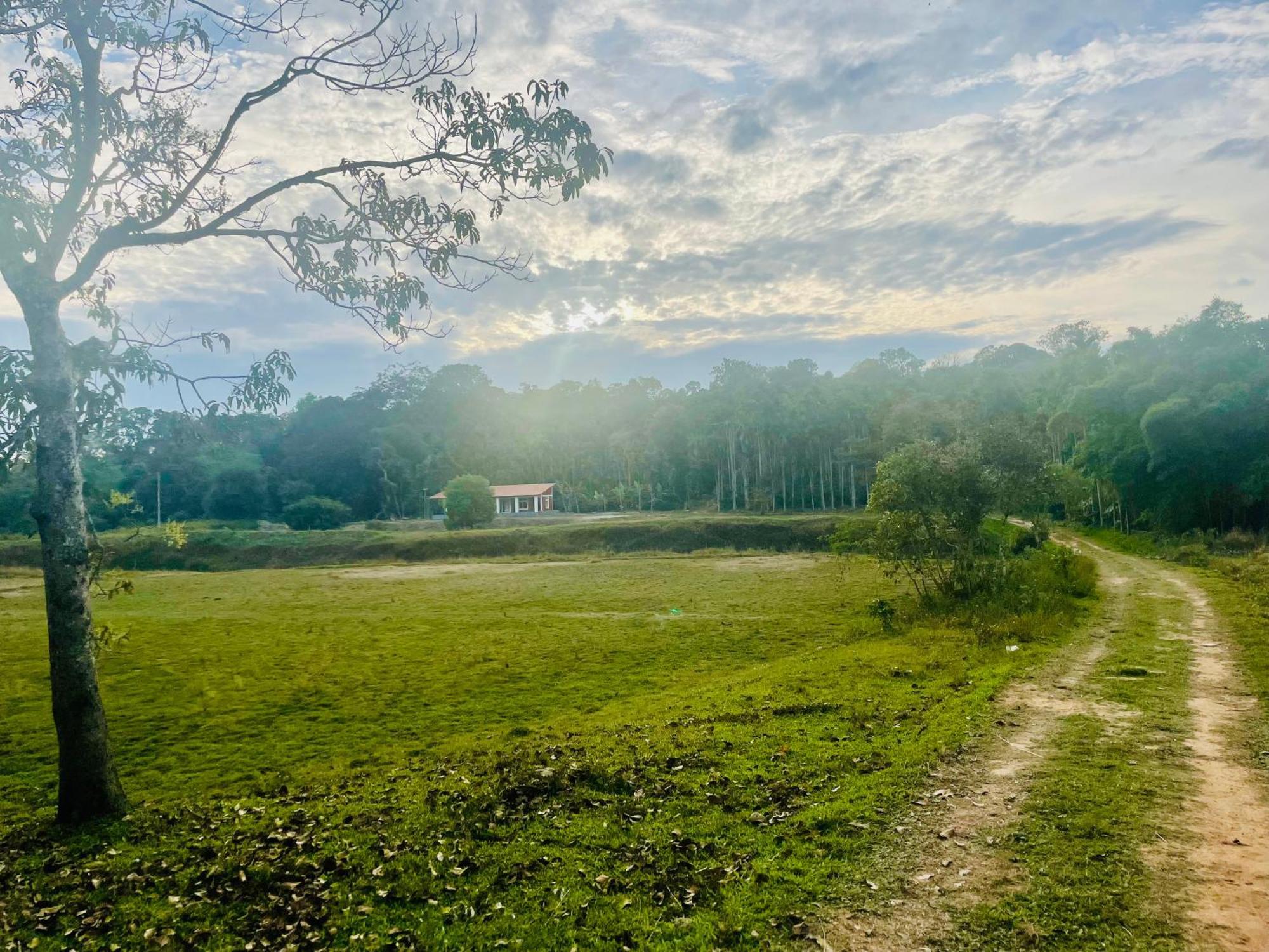Lake Ripples - Farmstay & Camping Ponnampet Kültér fotó